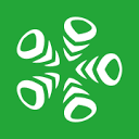 AVL Deutschland Logo